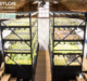 CIT GAP Funds invests in indoor farming service provider Babylon Micro-Farms