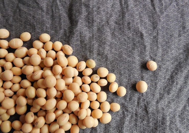 Verdeca gets USDA approval for HB4 drought tolerant soybeans