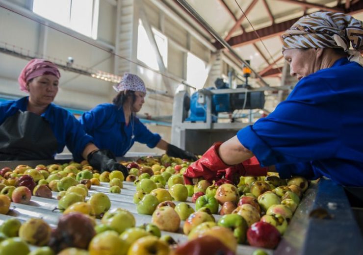ADB approves £202m loan to Kazakhstan to boost farm productivity