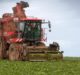 NFU Sugar and British Sugar sign sugar beet contracts for next year and beyond