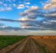 Adama, Taranis to develop end-to-end precision agriculture solution for farmers