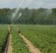Ketos, Dramm to support farmers in real-time groundwater quality monitoring