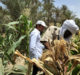 €81.9m project launched to aid over one million vulnerable farmers in Chad