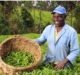How Project FARM is working with Kenyan farmers to tackle global food shortages