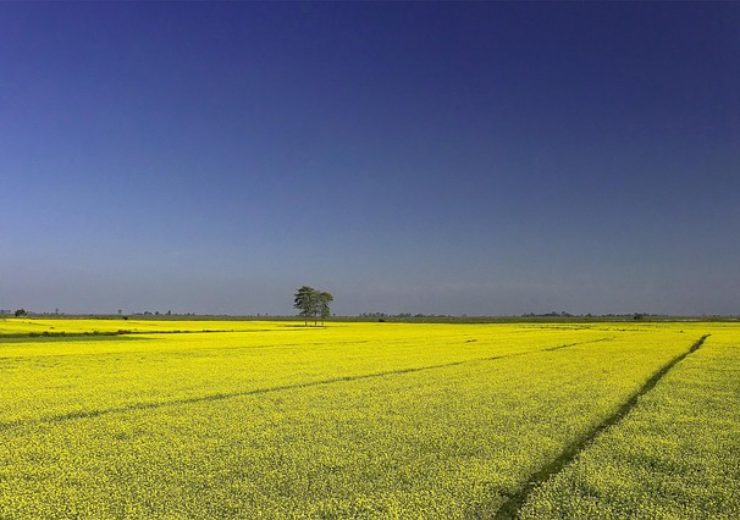 MustGrow finalises liquid formulation of mustard-derived bio-pesticide
