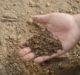 EcoBiome introduces new personal soil health test