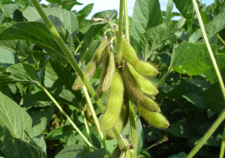 ADAMA wins regulatory approval to launch new fungicide in Paraguay