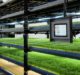 CubicFarm Systems to acquire US company HydroGreen