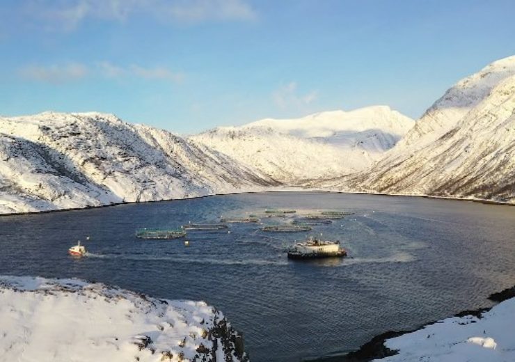ABB, Microsoft, Norway Royal Salmon create AI solution for sustainable fishing