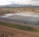 Bayer opens automated greenhouse facility in Arizona, US