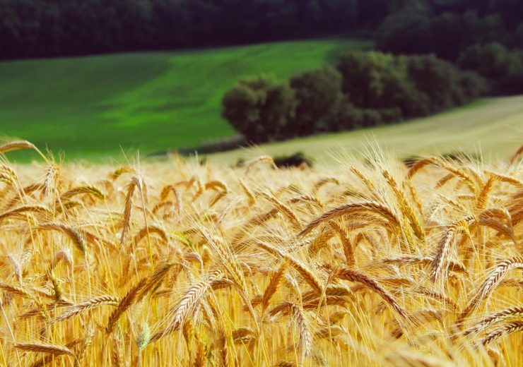 Sompo partners with Atlas to offer agriculture insurance in Portugal