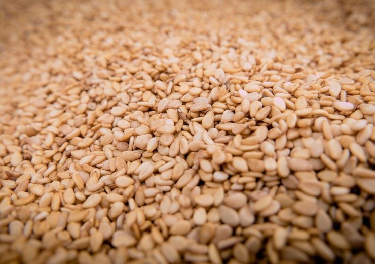 Sabra to grow non-GMO sesame seeds in US