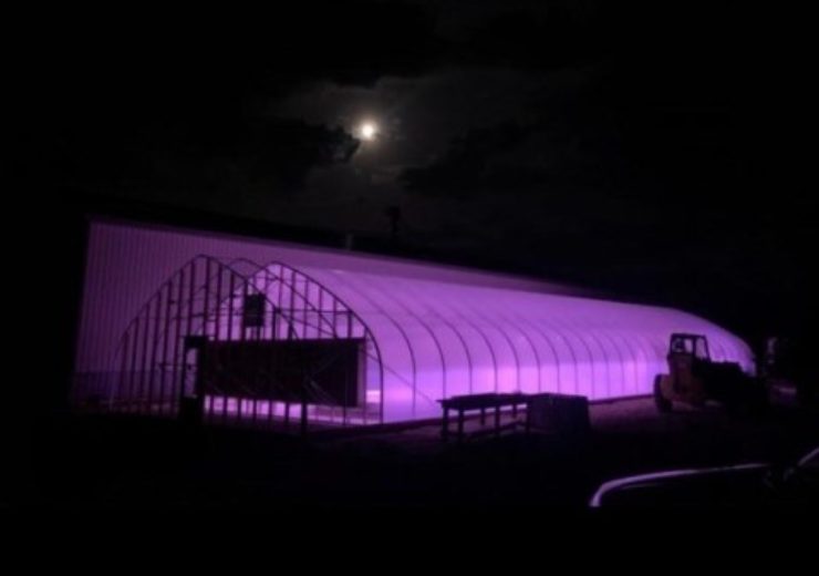 Cedar Valley Farms selects Violet Gro’s lights for greenhouse operations