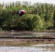 XAG launches rice seeding drone as alternative to meet labour shortage