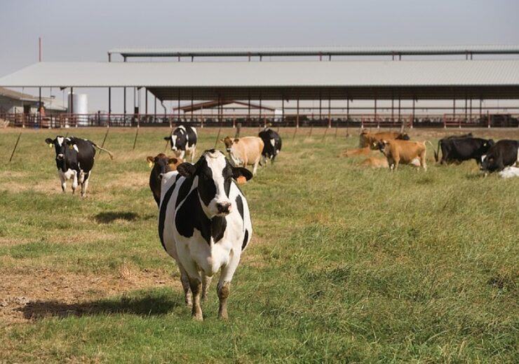 IFC provides $100m loan to Adecoagro to boost dairy sector in Argentina
