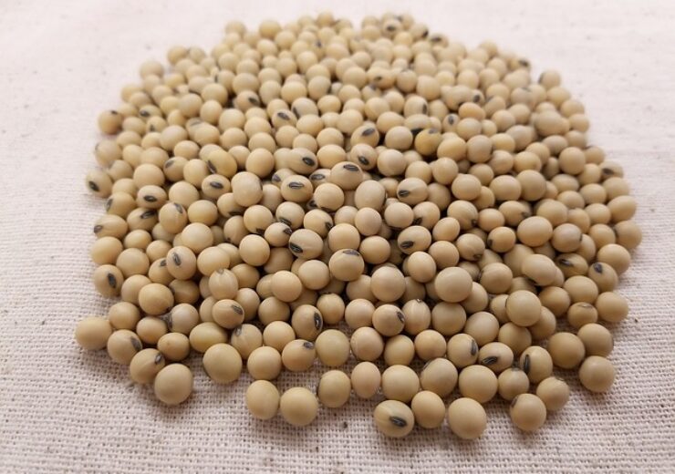 Origin Agritech, BRI collaborate on development of GMO soybean varieties