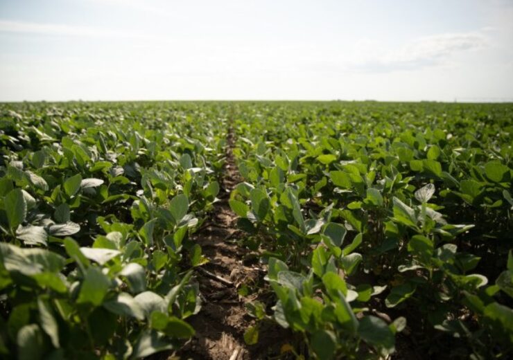 Syngenta introduces NK soybean varieties for 2021