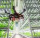 iFarm secures $4m funding for automated indoor farming