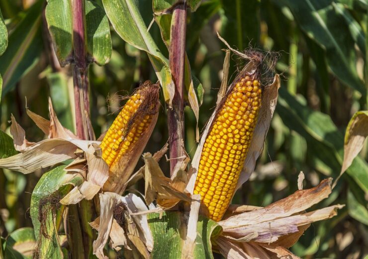 American Vanguard snaps up biological crop inputs supplier Agrinos