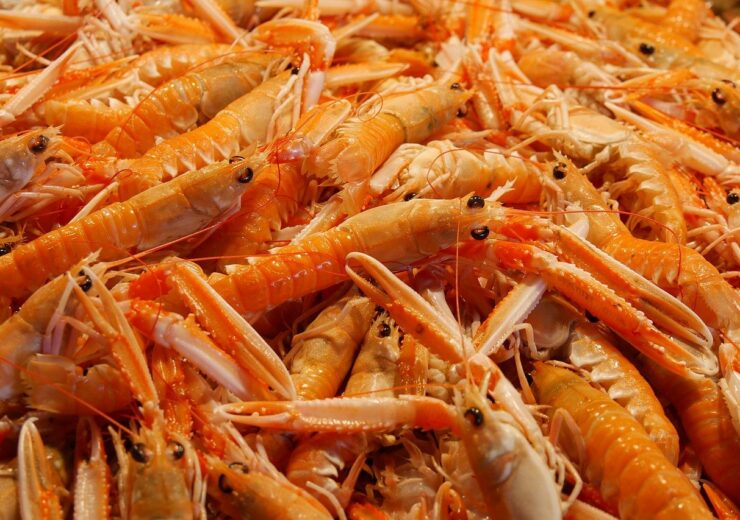 Thai Union to use Corbion’s algae feed ingredient in shrimp aquaculture