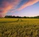 Pontifax AgTech closes second food and agriculture technology fund at $302m