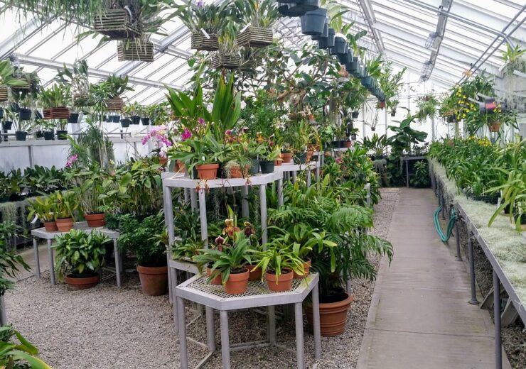 greenhouse-2645743_1280