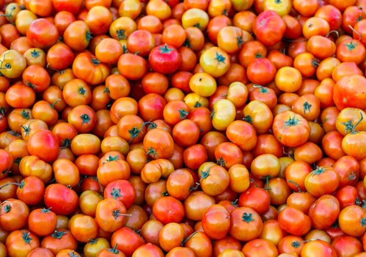 tomatoes-2200648_640