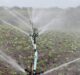 Wilbur-Ellis Agribusiness buys irrigation management firm Probe Schedule